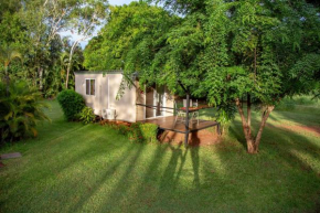 Banyan Tree, Batchelor